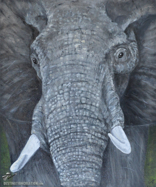 Elephant oil painting