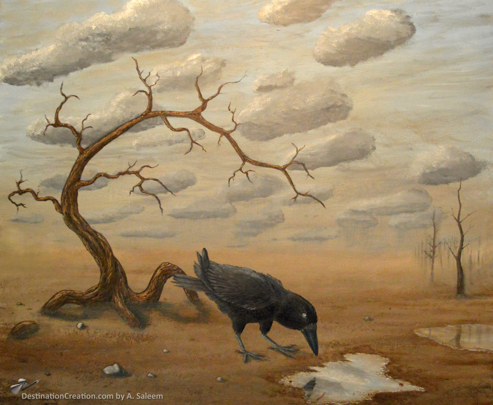 Reflections in Solitude Painting Destination Creation